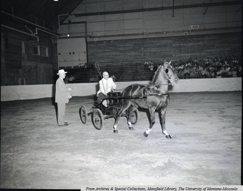 Horse show in the field house - year unknown